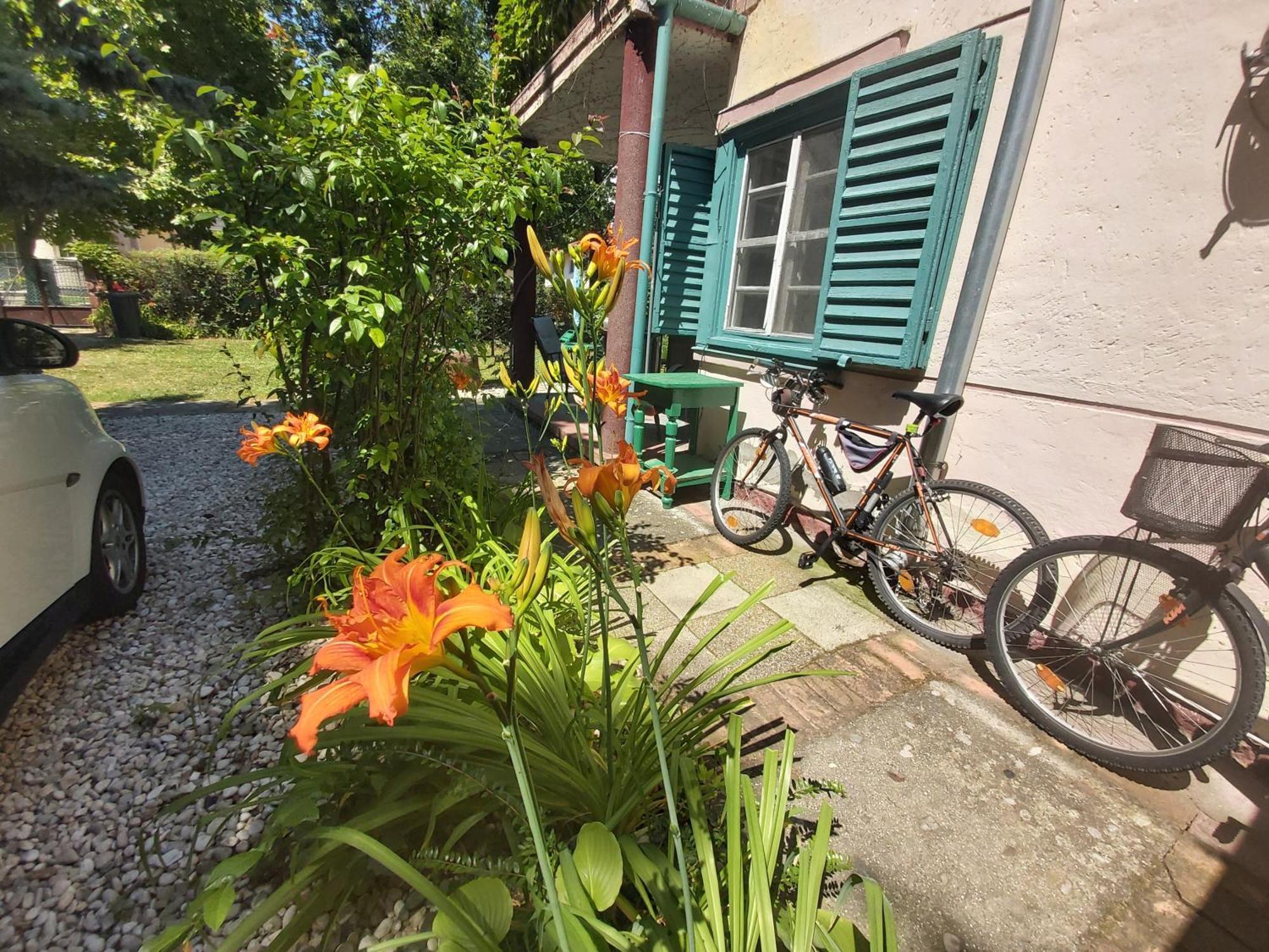 Garden Budha Relax Apartman, Parking, Bbq, Terrace Siófok Esterno foto