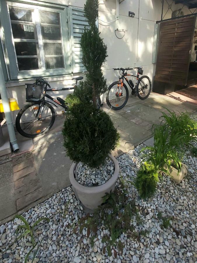 Garden Budha Relax Apartman, Parking, Bbq, Terrace Siófok Esterno foto
