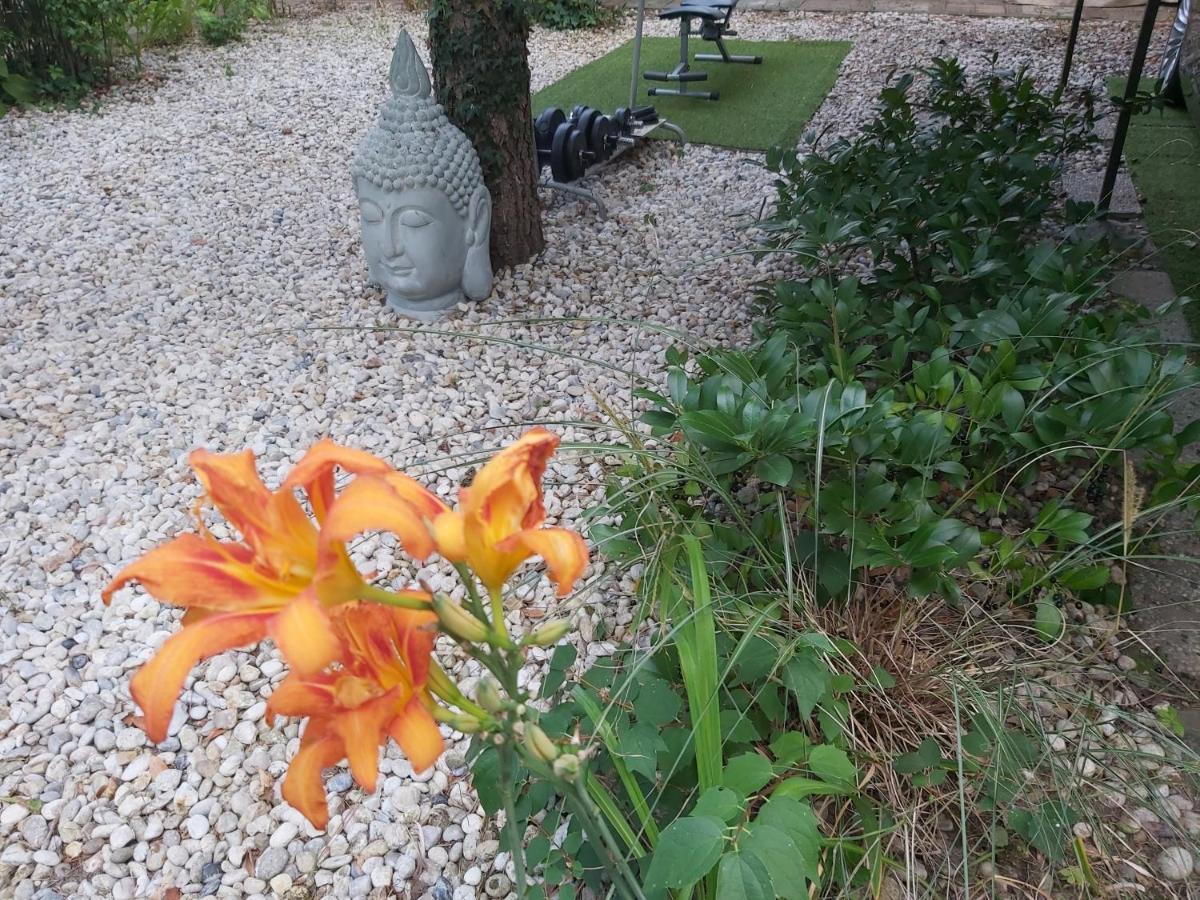 Garden Budha Relax Apartman, Parking, Bbq, Terrace Siófok Esterno foto
