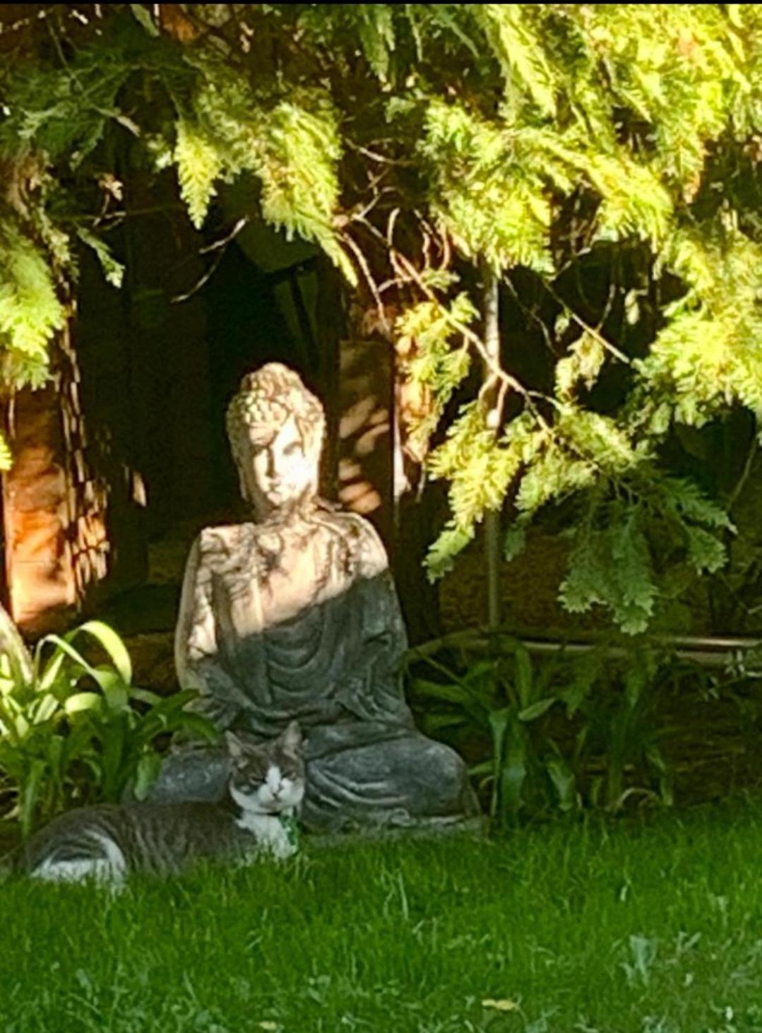 Garden Budha Relax Apartman, Parking, Bbq, Terrace Siófok Esterno foto