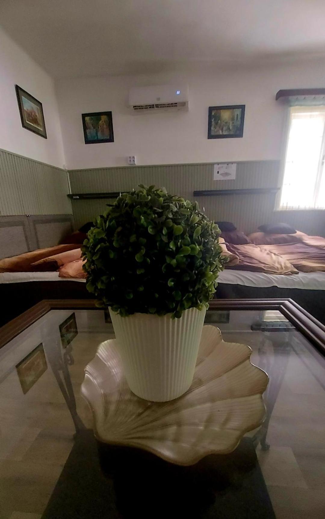Garden Budha Relax Apartman, Parking, Bbq, Terrace Siófok Esterno foto